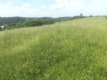 6 S Chowning Lane, Bloomfield, KY 40008