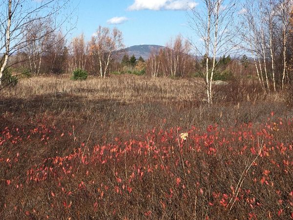 08-02A Sedgwick Ridge Road, Sedgwick, ME 04676