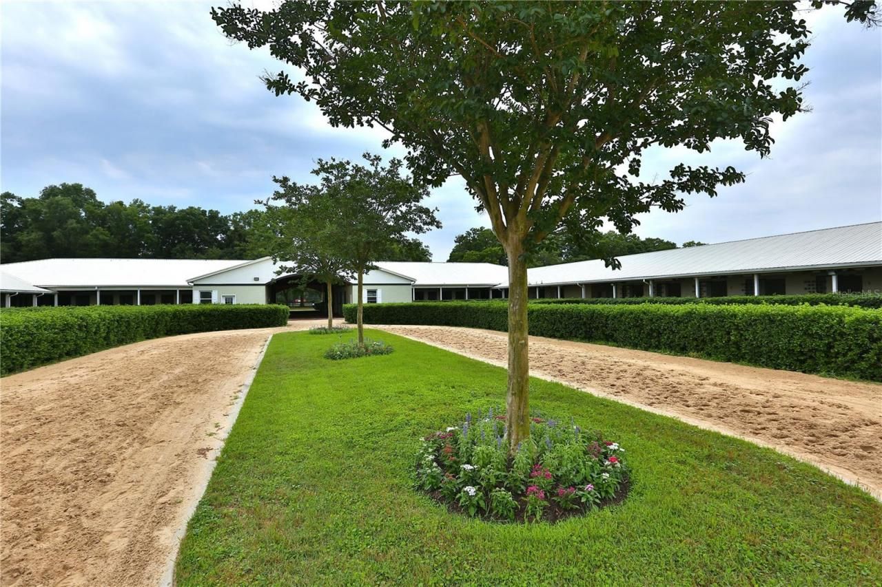 19431 NE 17th Place, Williston, FL 32696 Photo