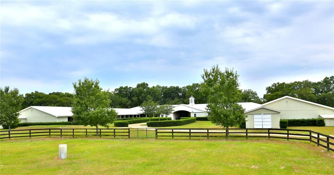 19431 NE 17th Place, Williston, FL 32696 Photo