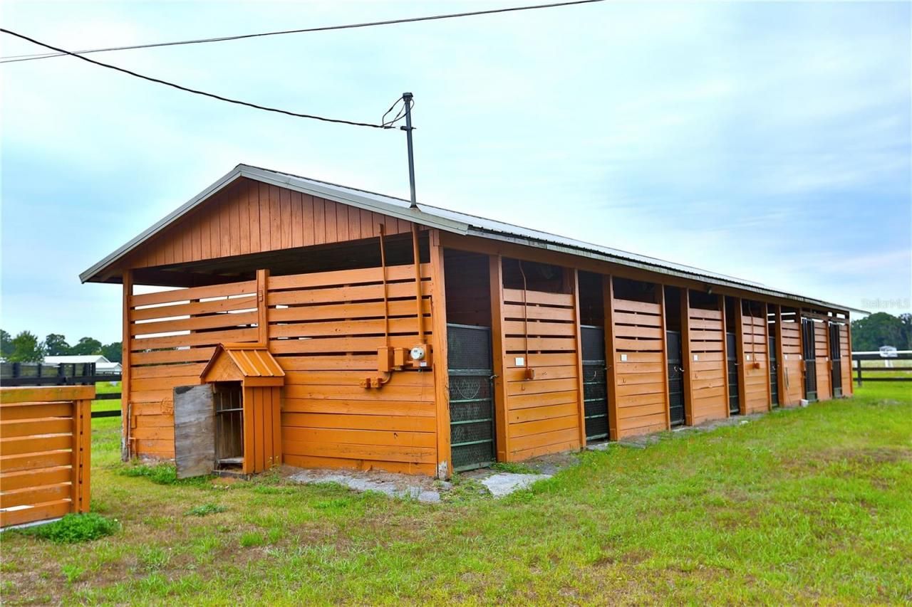 19431 NE 17th Place, Williston, FL 32696 Photo