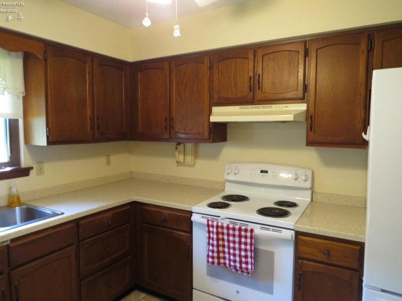 671 S S. Lake St., Amherst, OH 44001 Photo 10