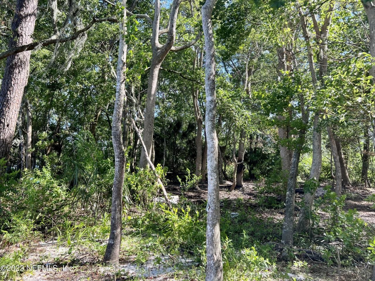 654 S Orange Avenue, Green Cove Springs, FL 32043 Photo