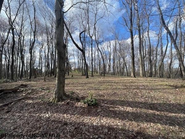 0 S Pierpont Road, Morgantown, WV 26508