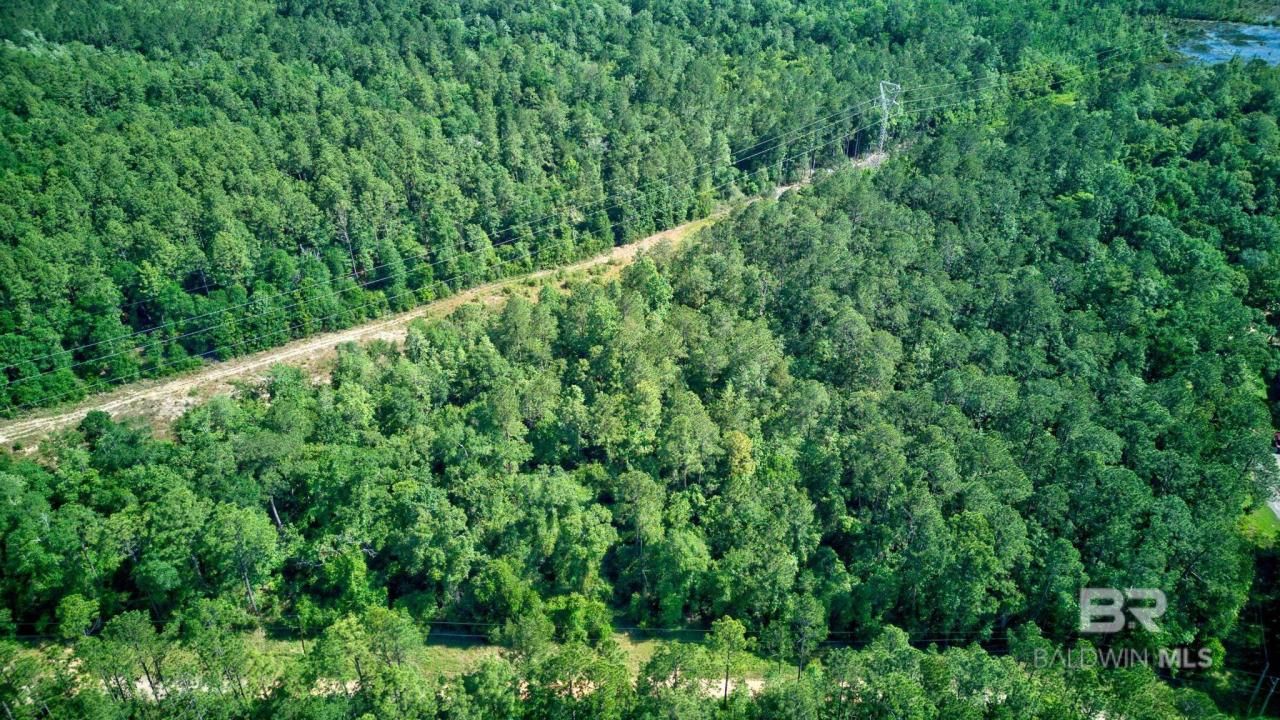 0 Evans Road, Chunchula, AL 36521 Main Photo