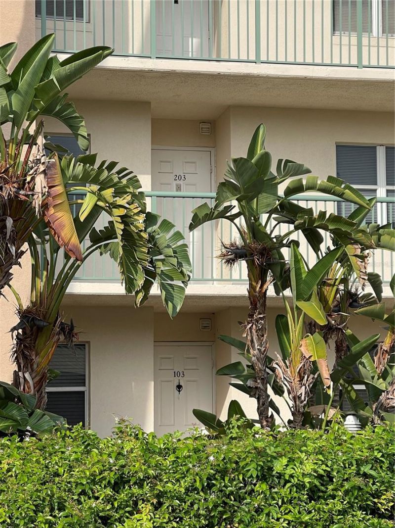 2320 Terra Ceia Bay Boulevard, Unit 203, Palmetto, FL 34221 Photo