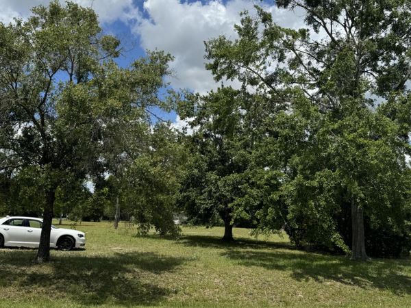 1598 LONG HORN Road, Middleburg, FL 32068