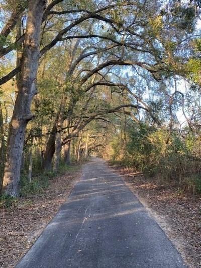 Sw 21st Place, Newberry, FL 32669 Photo