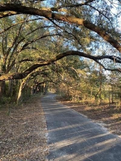 Sw 21st Place, Newberry, FL 32669 Photo