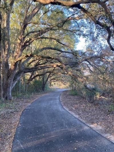 Sw 21st Place, Newberry, FL 32669 Photo