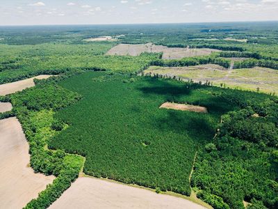 0000 Varnadoe Road, Islandton, SC 29929