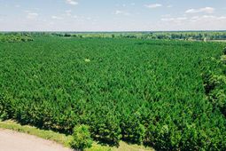 0000 Varnadoe Road photo 4