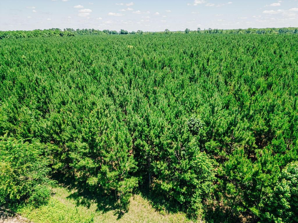 0000 Varnadoe Road Photo 4