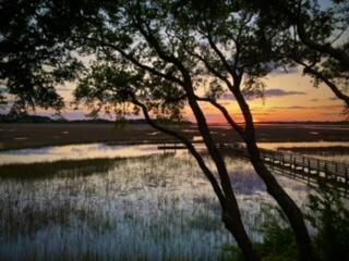 1721 Live Oak Park Photo 21