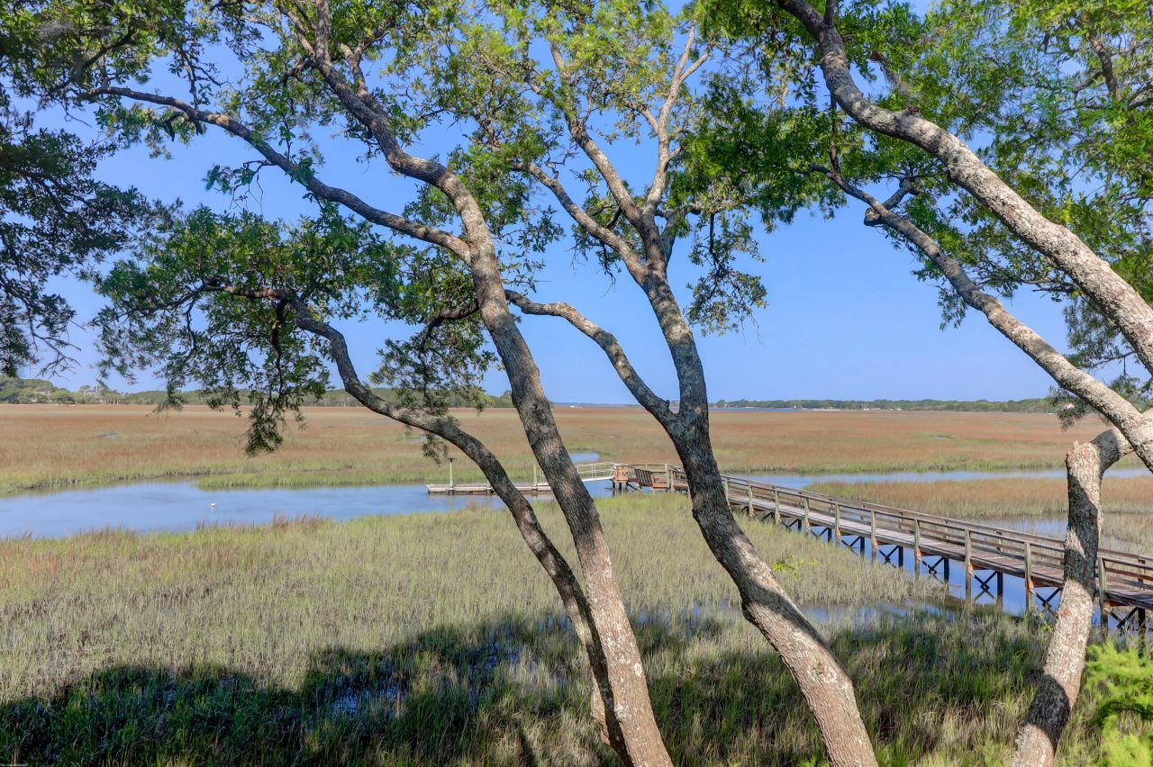 1721 Live Oak Park Photo 22