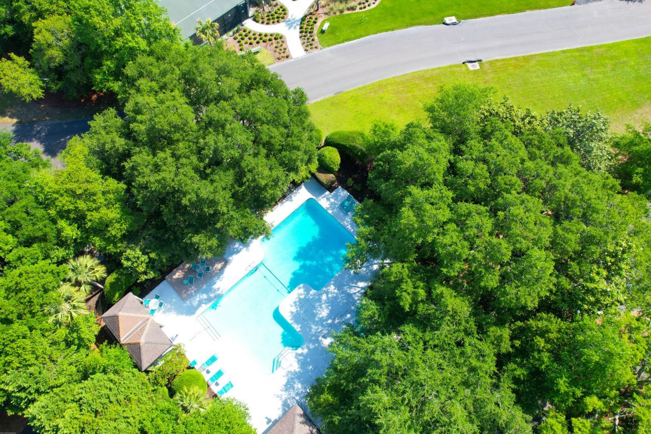 1721 Live Oak Park Photo 28