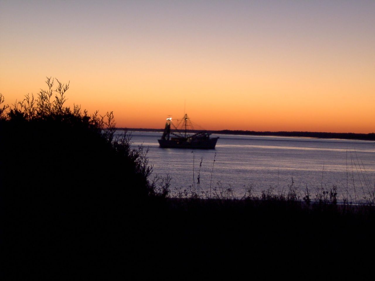 1721 Live Oak Park Photo 47