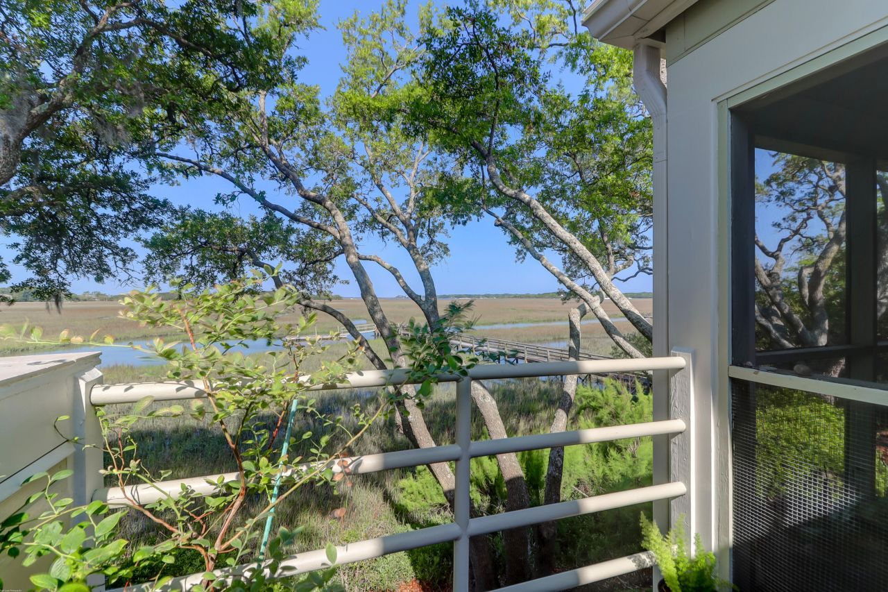 1721 Live Oak Park Photo 5