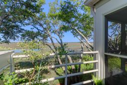 1721 Live Oak Park photo 4