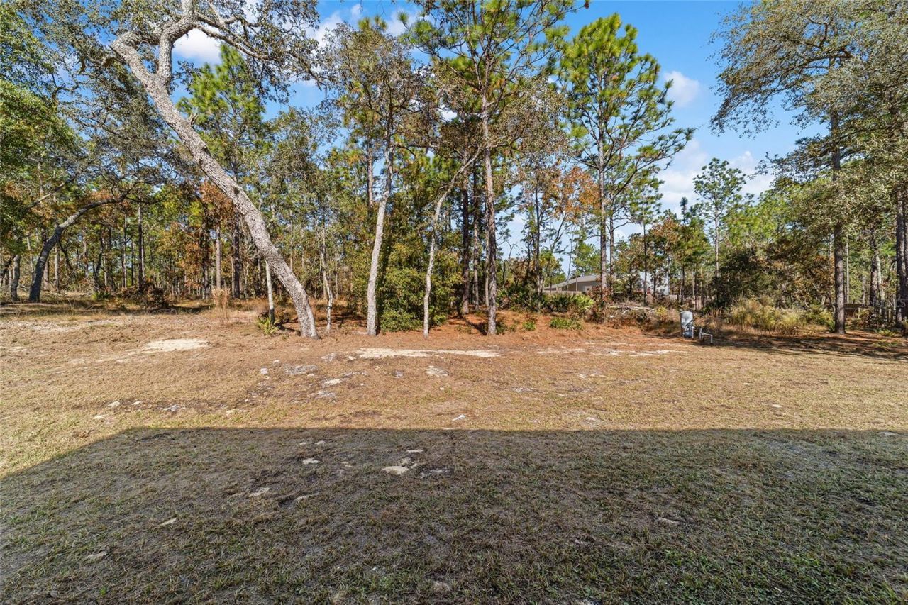 13359 SW 80th Street, Dunnellon, FL 34432 Photo