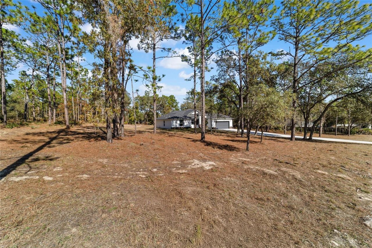 13359 SW 80th Street, Dunnellon, FL 34432 Photo