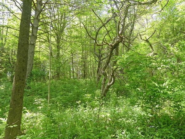 Lot 19 Orchard Lane, Andes, NY 13740