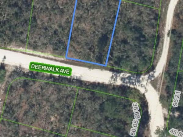 284 DEERWALK AVENUE, LAKE PLACID, FL 33852