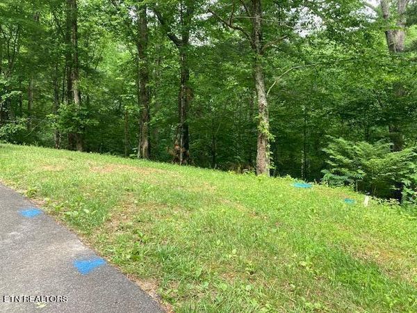 Laurel Rd, Townsend, TN 37882