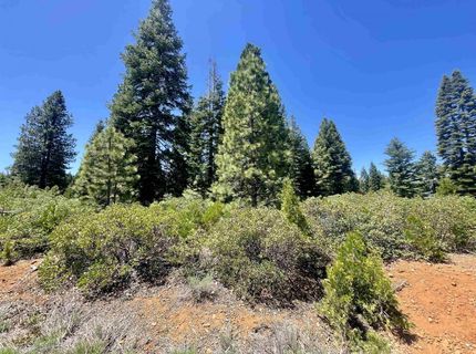 240 Walsh Court, Lake Almanor, CA 96137 Photo