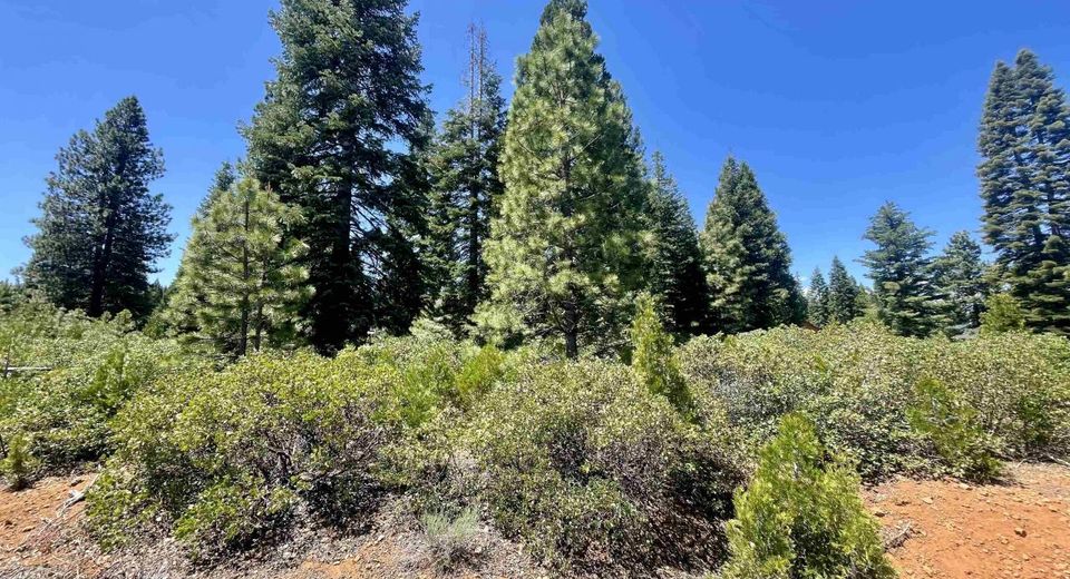 240 Walsh Court, Lake Almanor, CA 96137 Photo
