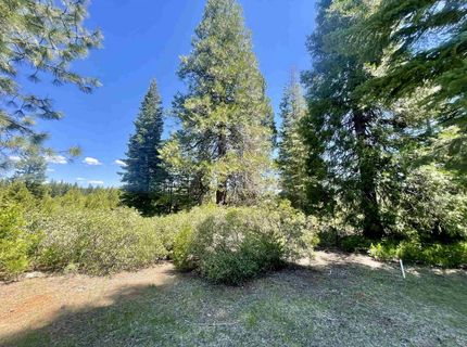 240 Walsh Court, Lake Almanor, CA 96137 Photo
