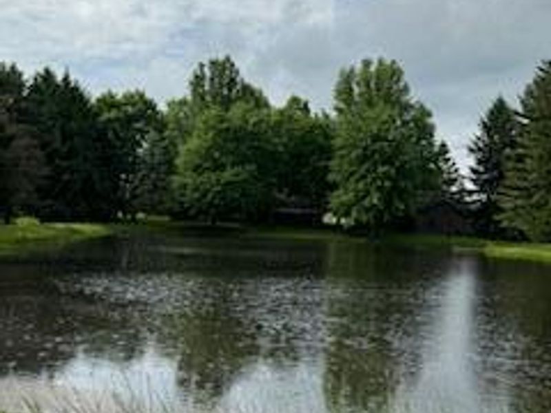 1980 Walker Lake Road, Ontario, OH 44906 Photo 29