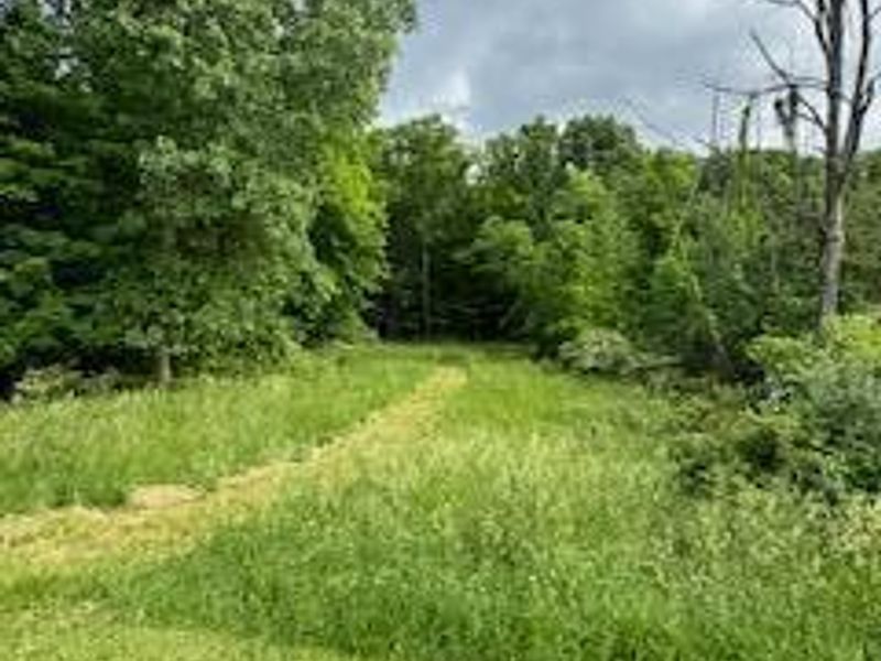 1980 Walker Lake Road, Ontario, OH 44906 Photo 31