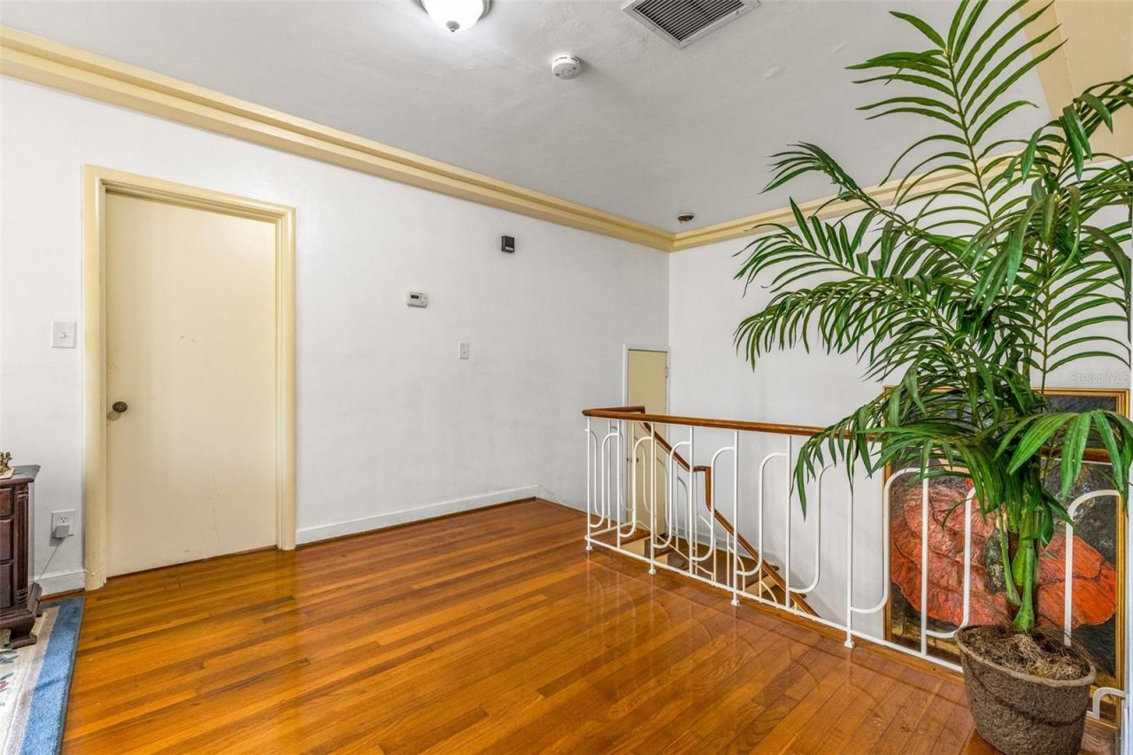 803 Bayshore Boulevard, Tampa, FL 33606 Photo