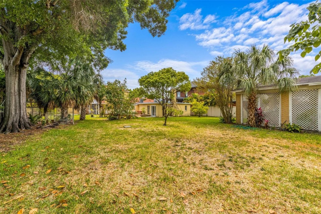 803 Bayshore Boulevard, Tampa, FL 33606 Photo