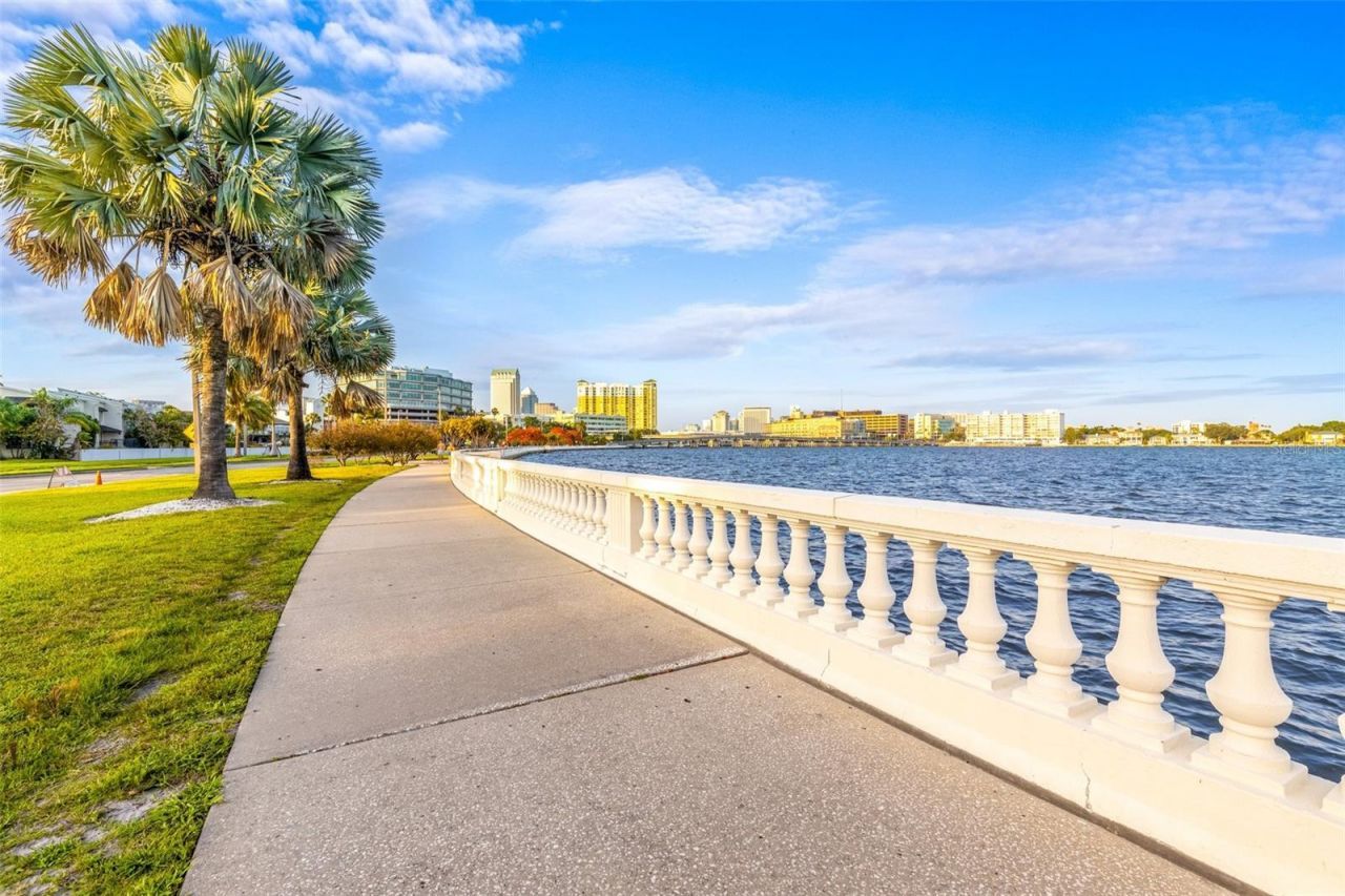 803 Bayshore Boulevard, Tampa, FL 33606 Photo