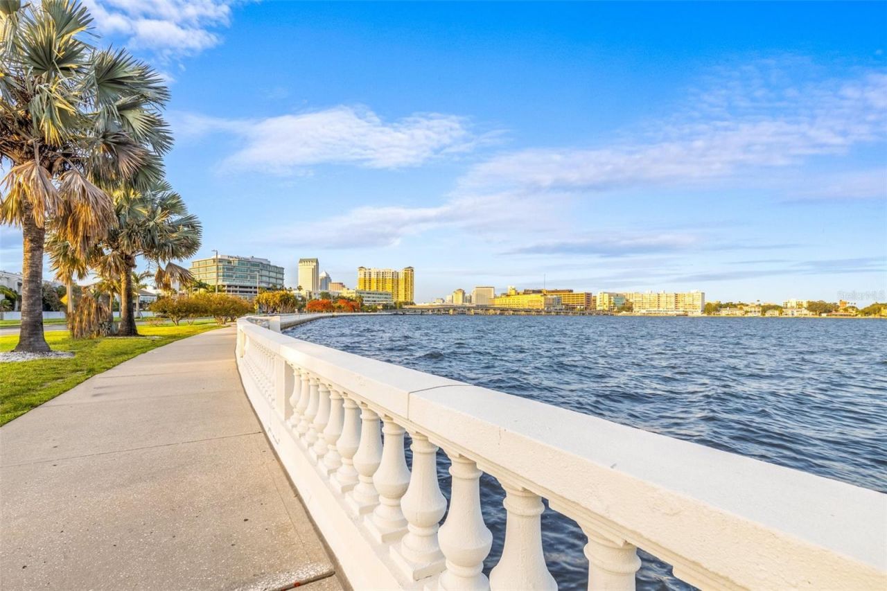 803 Bayshore Boulevard, Tampa, FL 33606 Photo