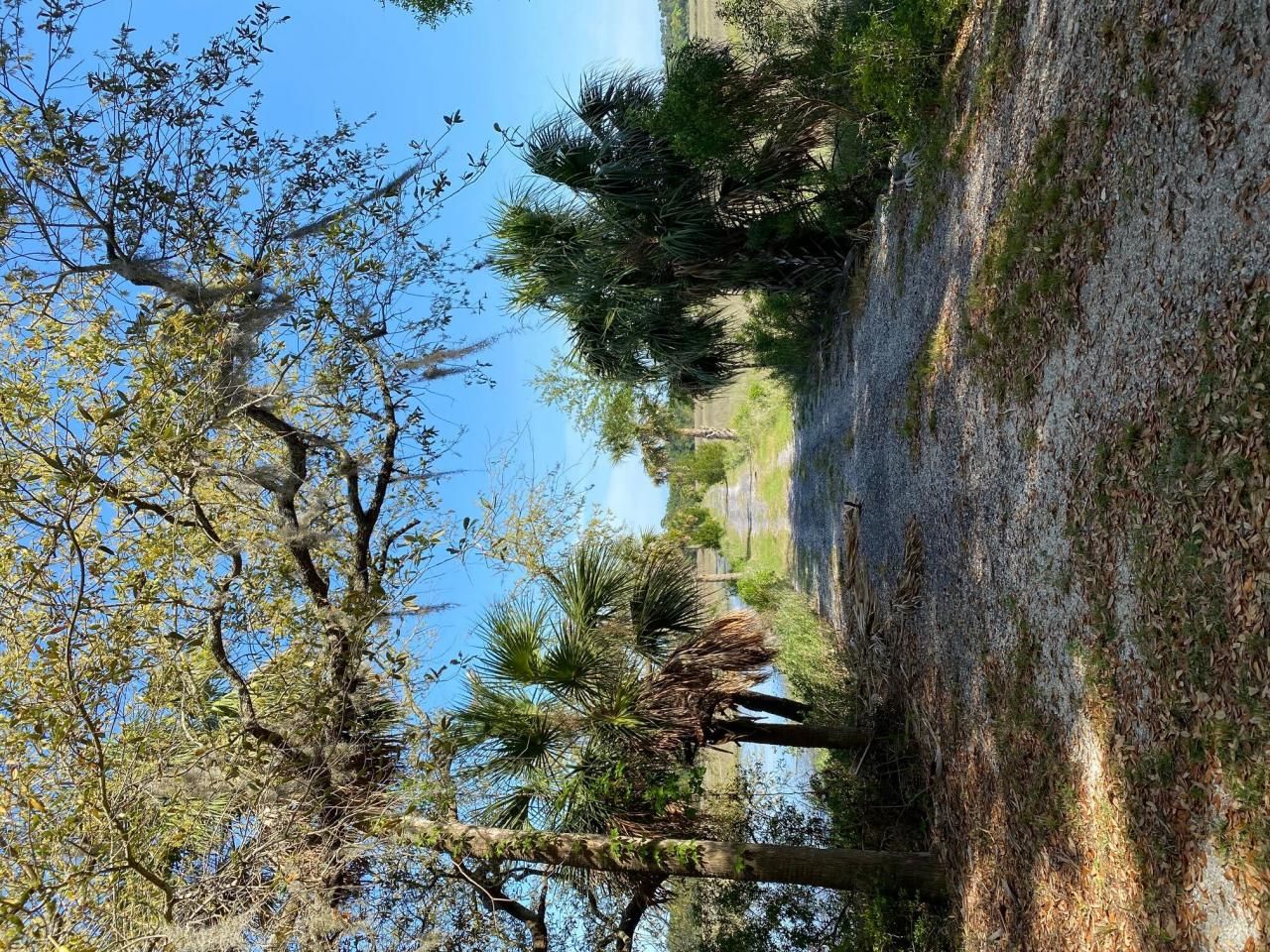 101 Kingston Key Road Photo 14