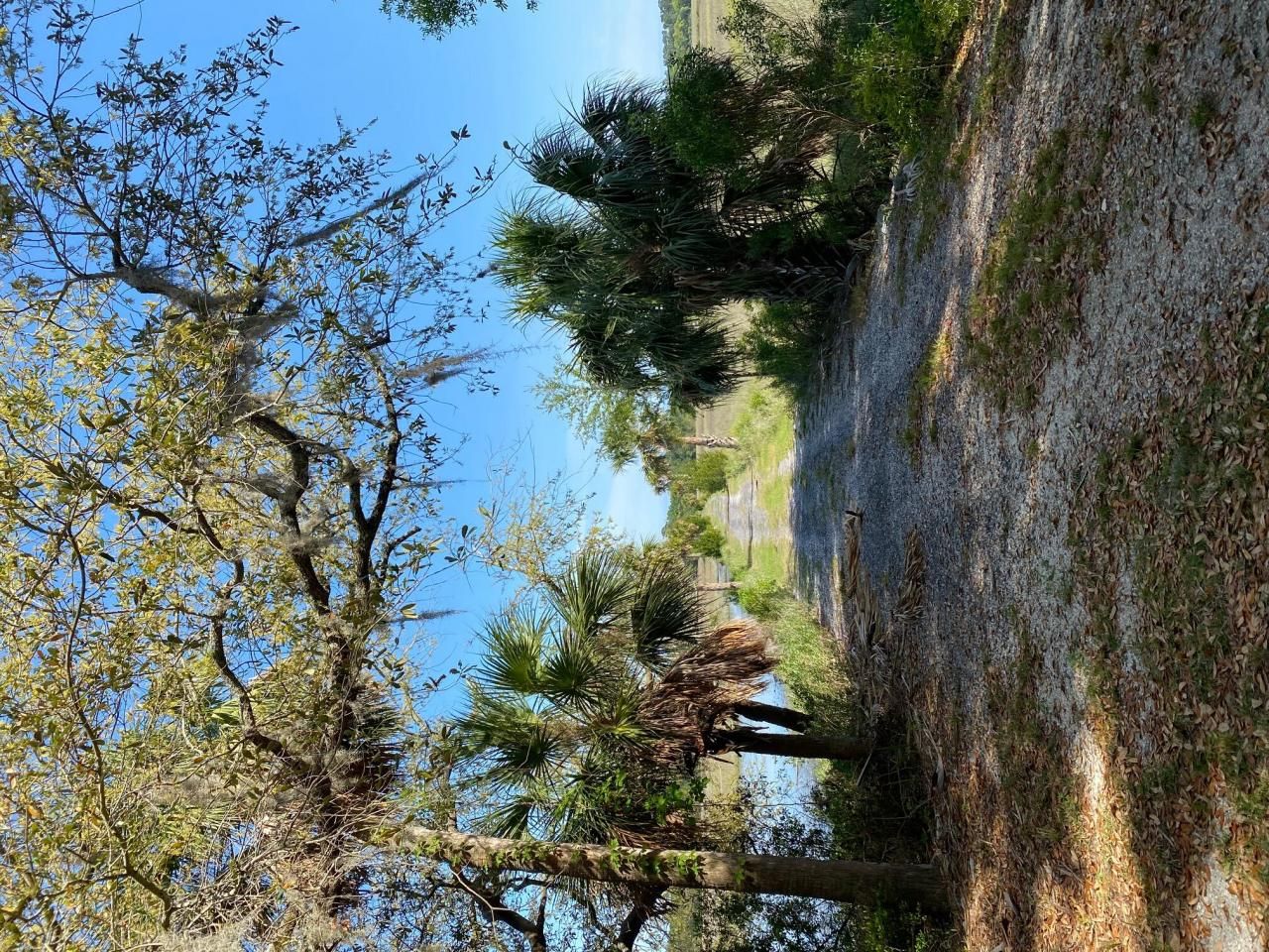 101 Kingston Key Road Photo 15