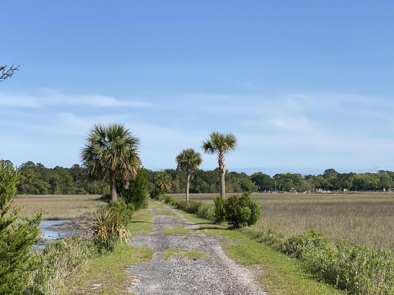 101 Kingston Key Road Photo 16