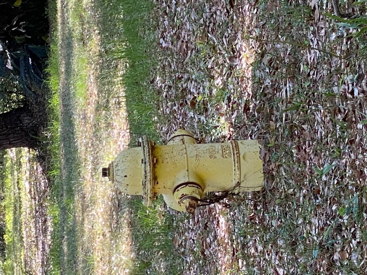 101 Kingston Key Road Photo 19