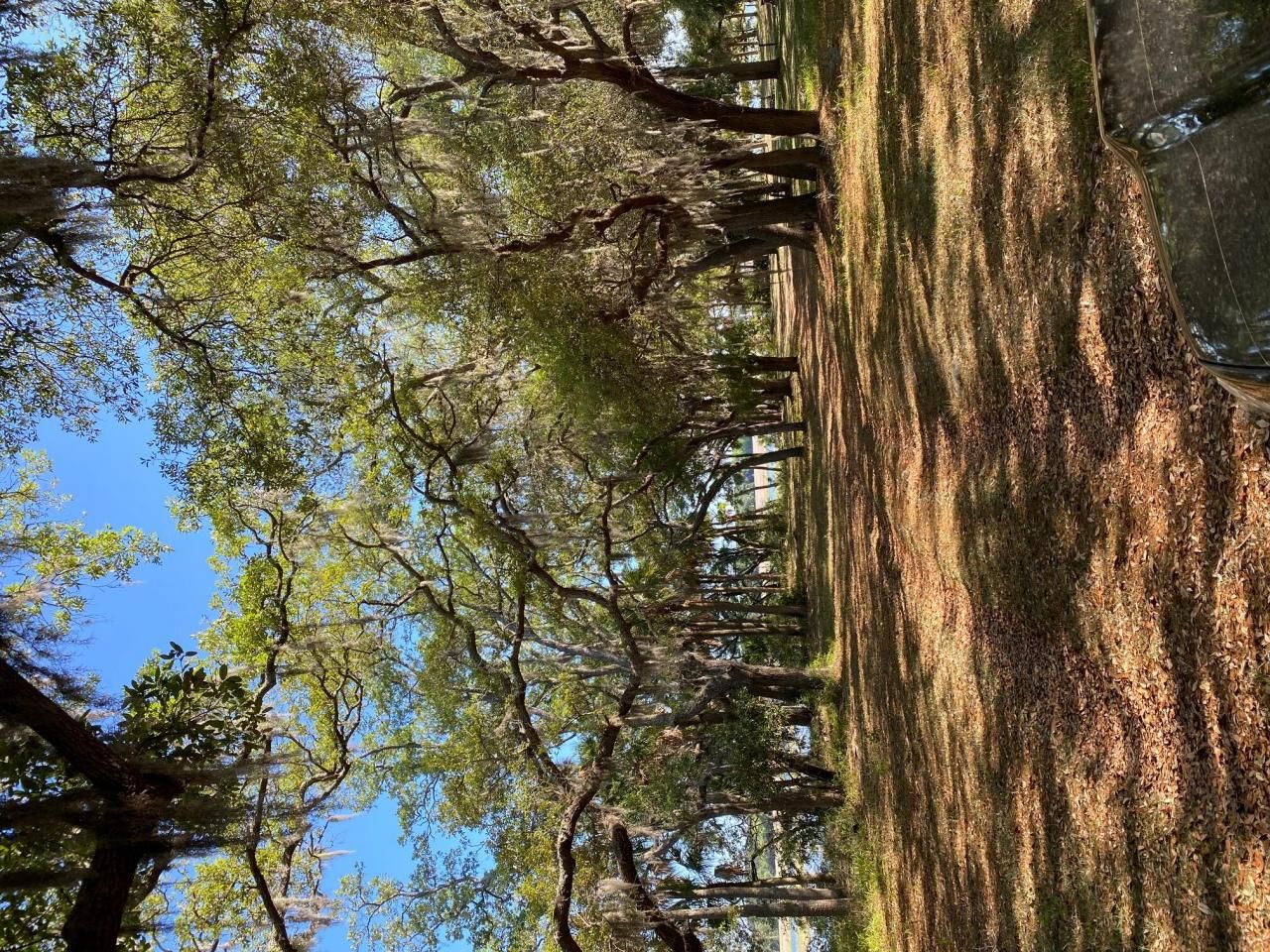 101 Kingston Key Road Photo 21