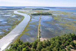 101 Kingston Key Road photo 4