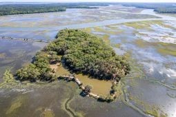 101 Kingston Key Road photo 4