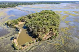 101 Kingston Key Road photo 4