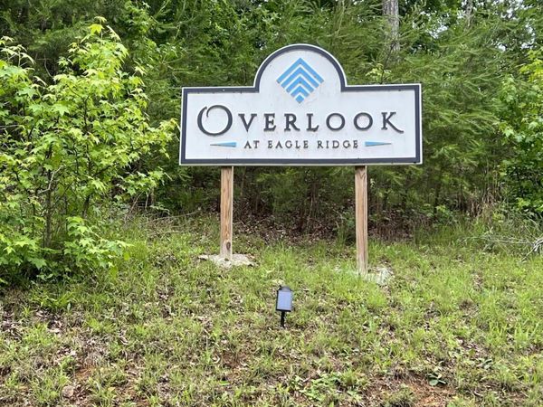 Vista Ridge Court, Rockwood, TN 37854