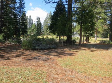 533 Dinsmore Drive, Lake Almanor, CA 00000 Photo