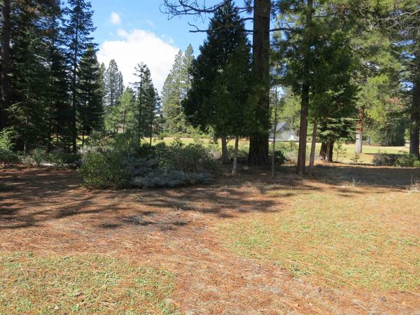 533 Dinsmore Drive, Lake Almanor, CA 00000