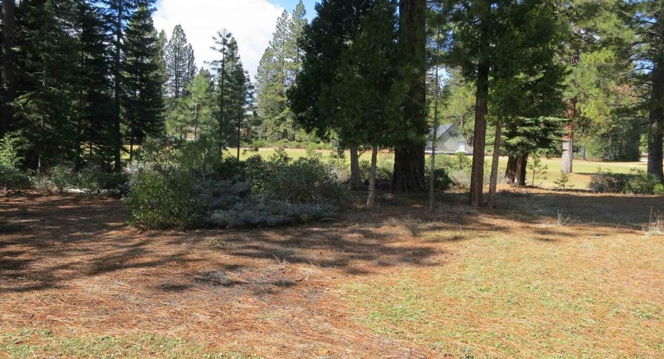 533 Dinsmore Drive, Lake Almanor, CA 00000 Photo