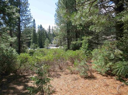 533 Dinsmore Drive, Lake Almanor, CA 00000 Photo